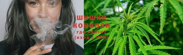 ГАЛЛЮЦИНОГЕННЫЕ ГРИБЫ Козельск