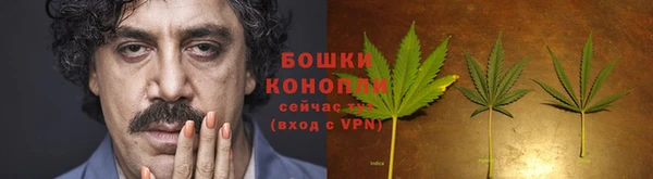 прущие крисы Корсаков