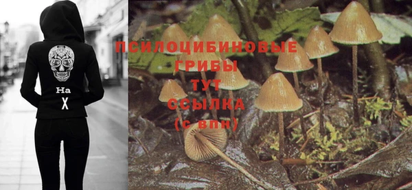 альфа пвп Коряжма