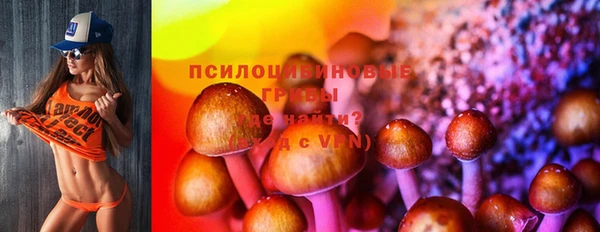 дживик Кодинск