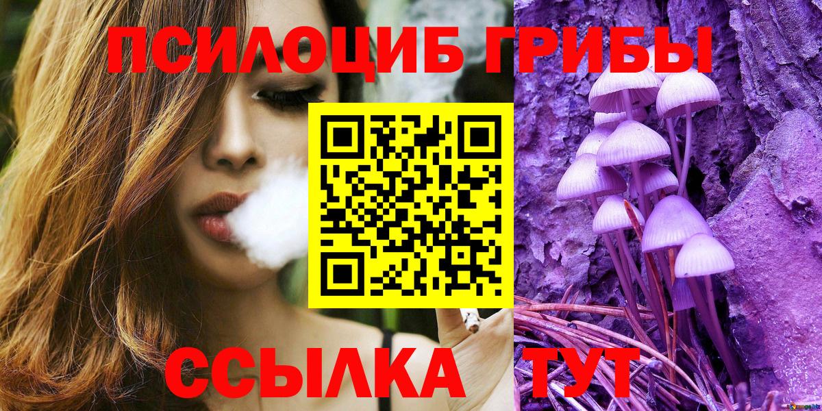 Тольятти  Псилоцибиновые грибы Magic Shrooms  закладки  Вход с VPN 