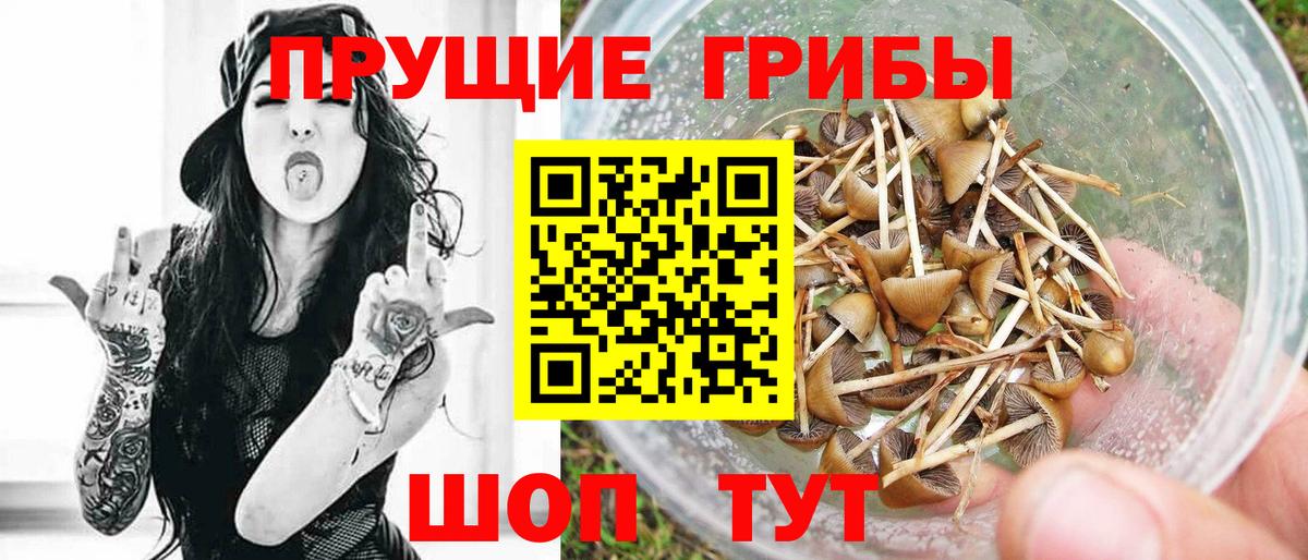 Галлюциногенные грибы мицелий Тольятти